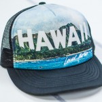 hawaiiwoodHat1